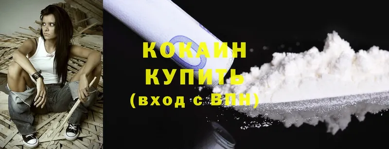 COCAIN Fish Scale  Стародуб 